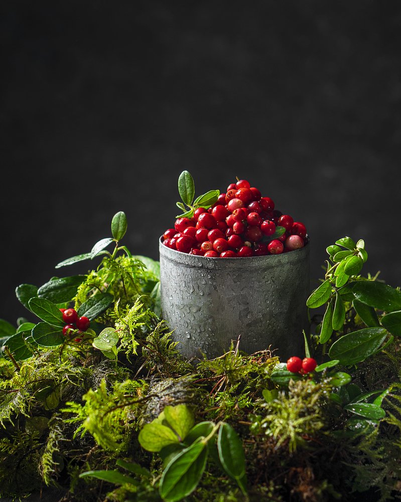 Photograph by Elena Otvodenko