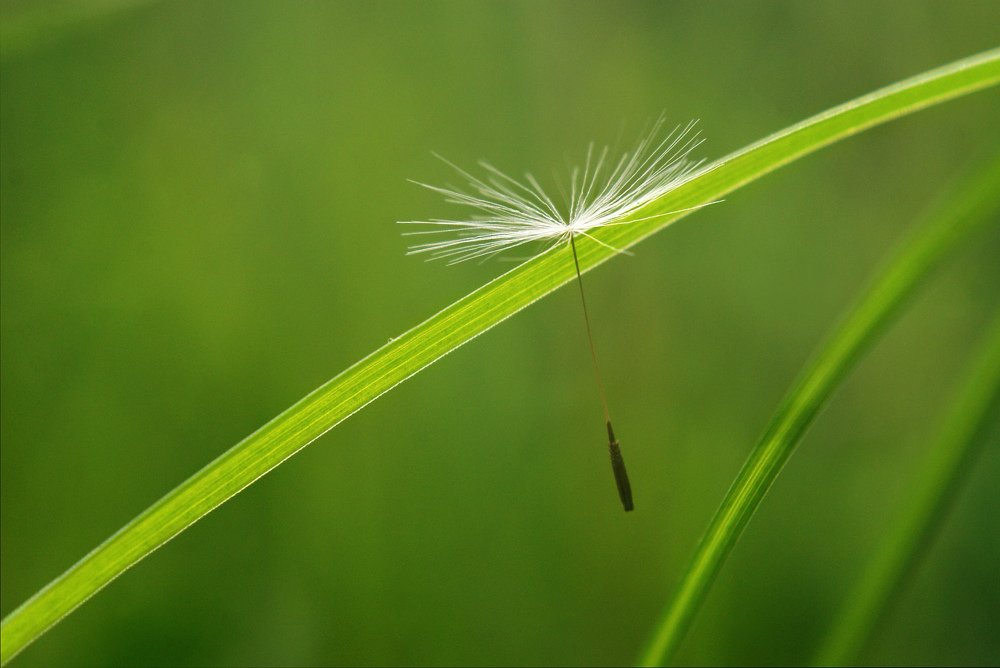 Photograph by Ольга Буракова