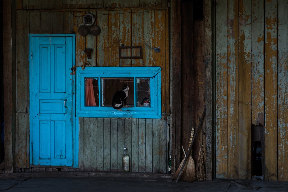 Photograph by Дмитрий Бахтадзе