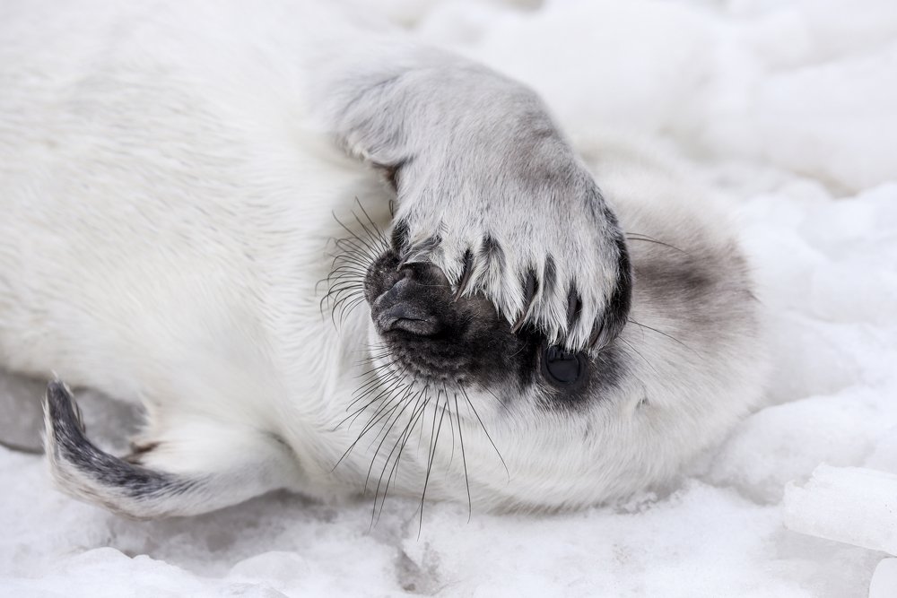 Photograph by Larisa Cekanaviсa