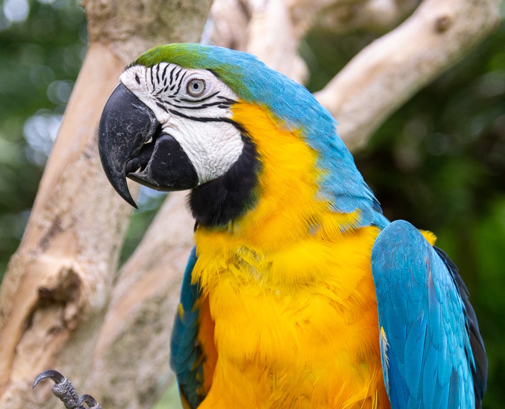 Photograph by Ксения Рыбка