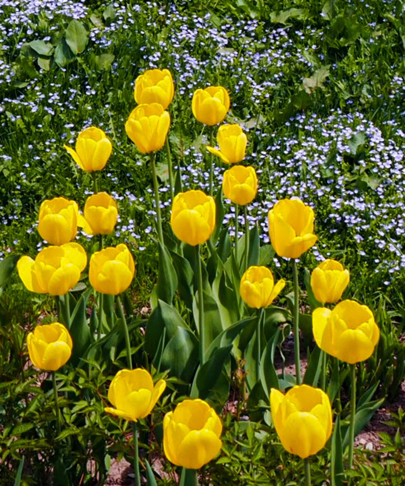 Фотография автора Olena Vorotyntseva