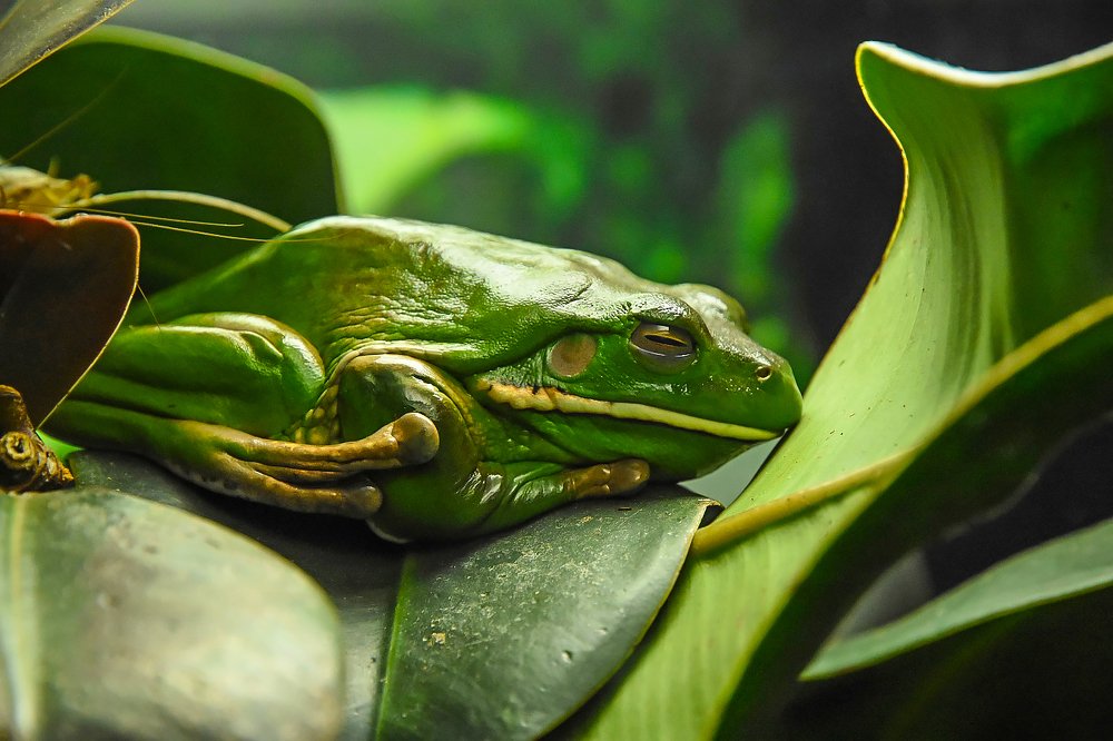 Photograph by Сергей Духанин