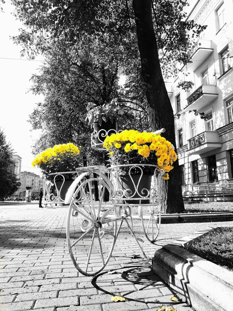 Photograph by Olga Haritonovich