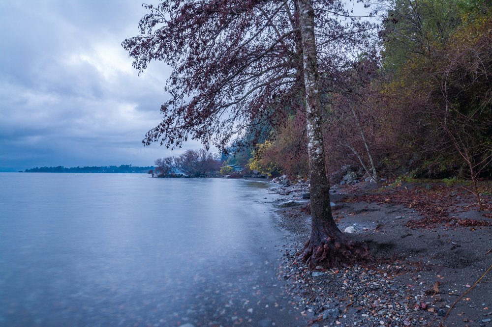 Photograph by Florencia Gehrung