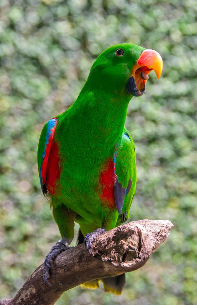 Photograph by Ксения Рыбка