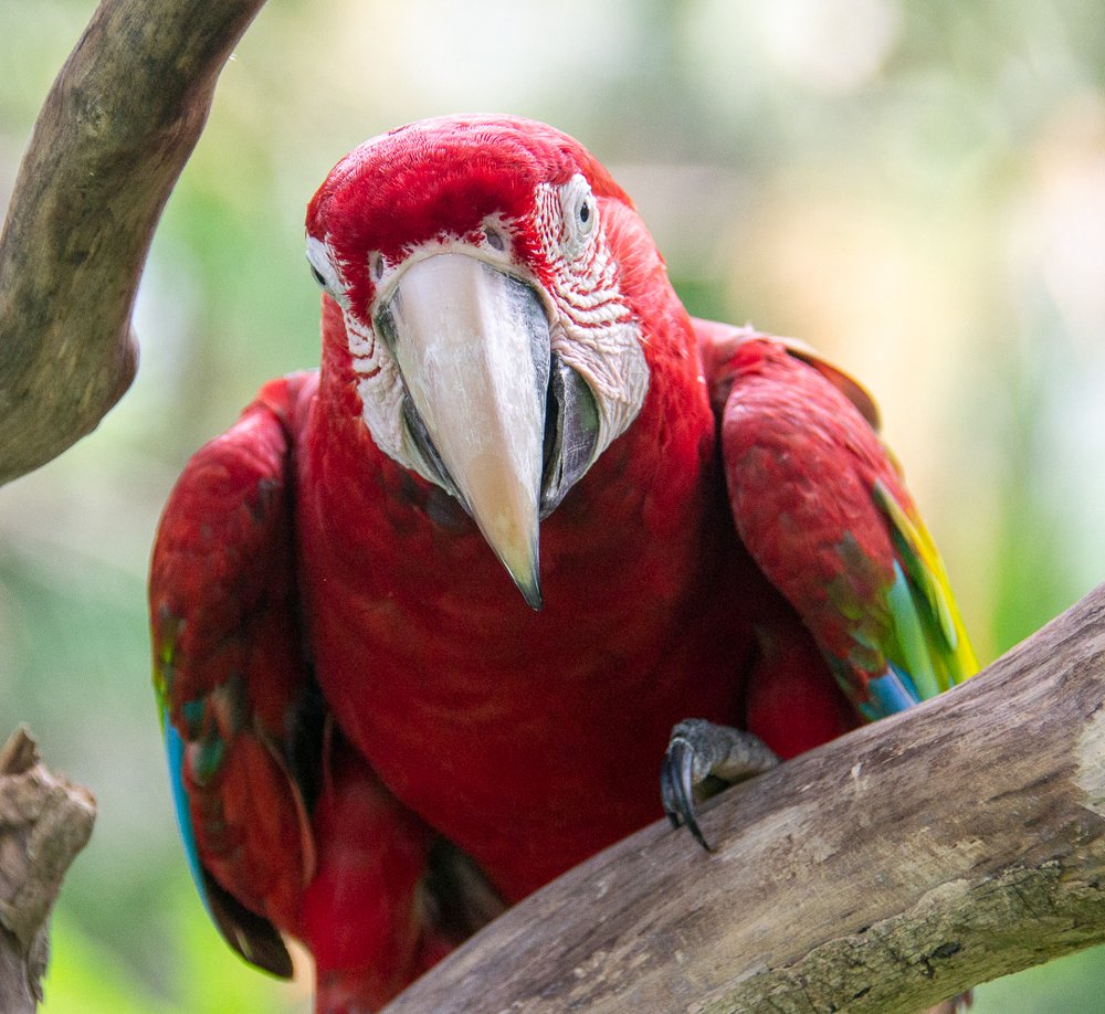 Photograph by Ксения Рыбка