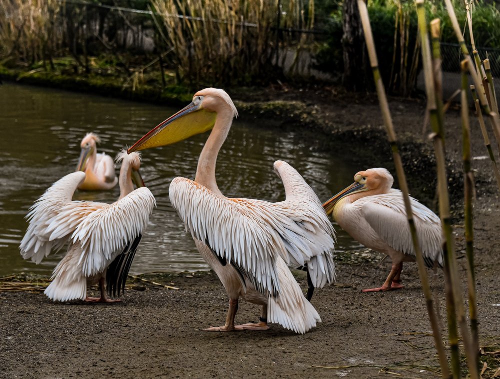 Photograph by Наталия Березина