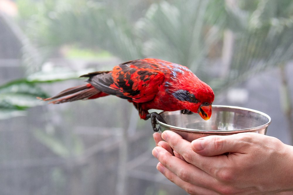 Photograph by Ксения Рыбка