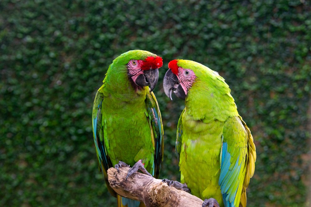 Photograph by Ксения Рыбка