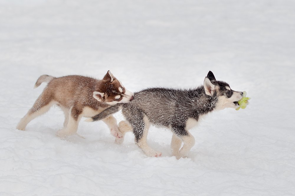 Photograph by Людмила Потапова