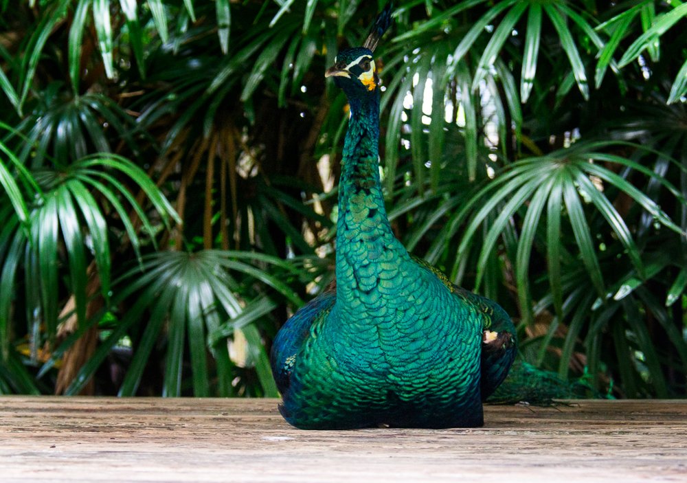 Photograph by Ксения Рыбка