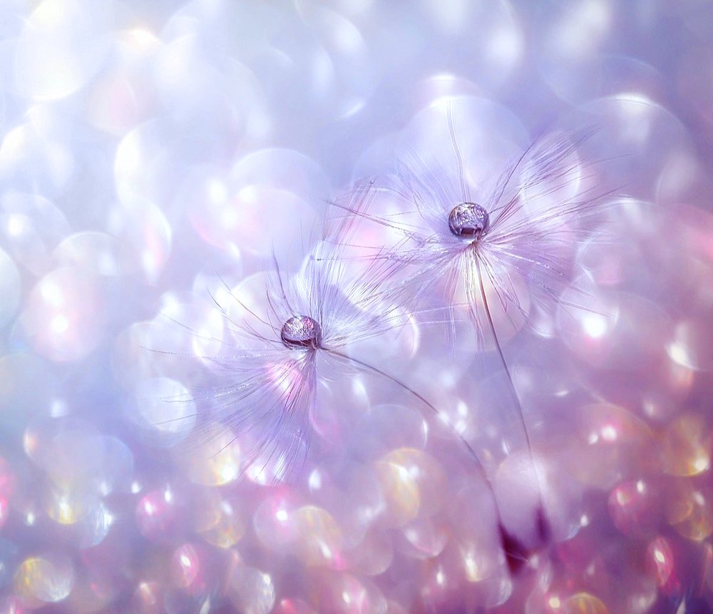 Танцующие капельки