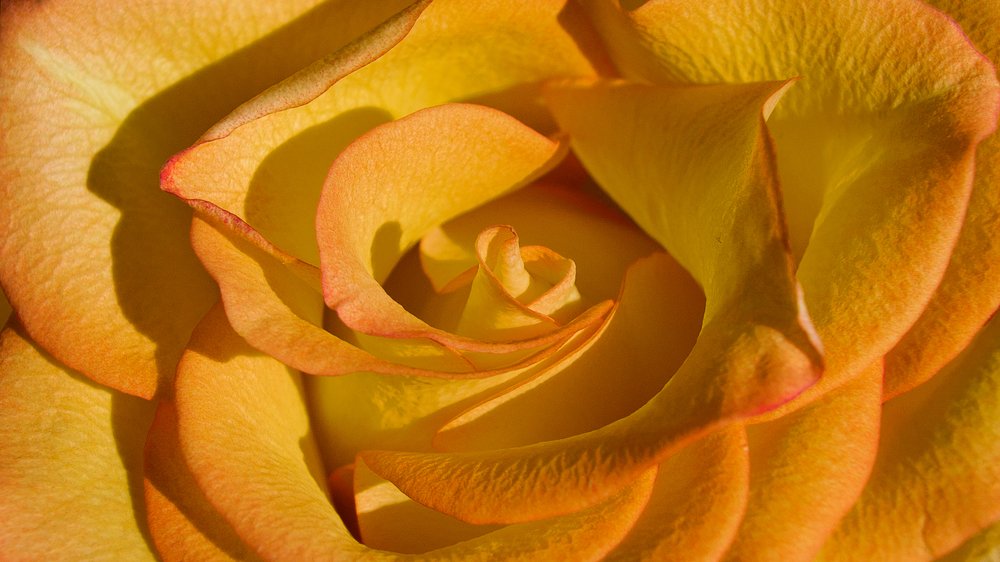 Photograph by Lena Latova