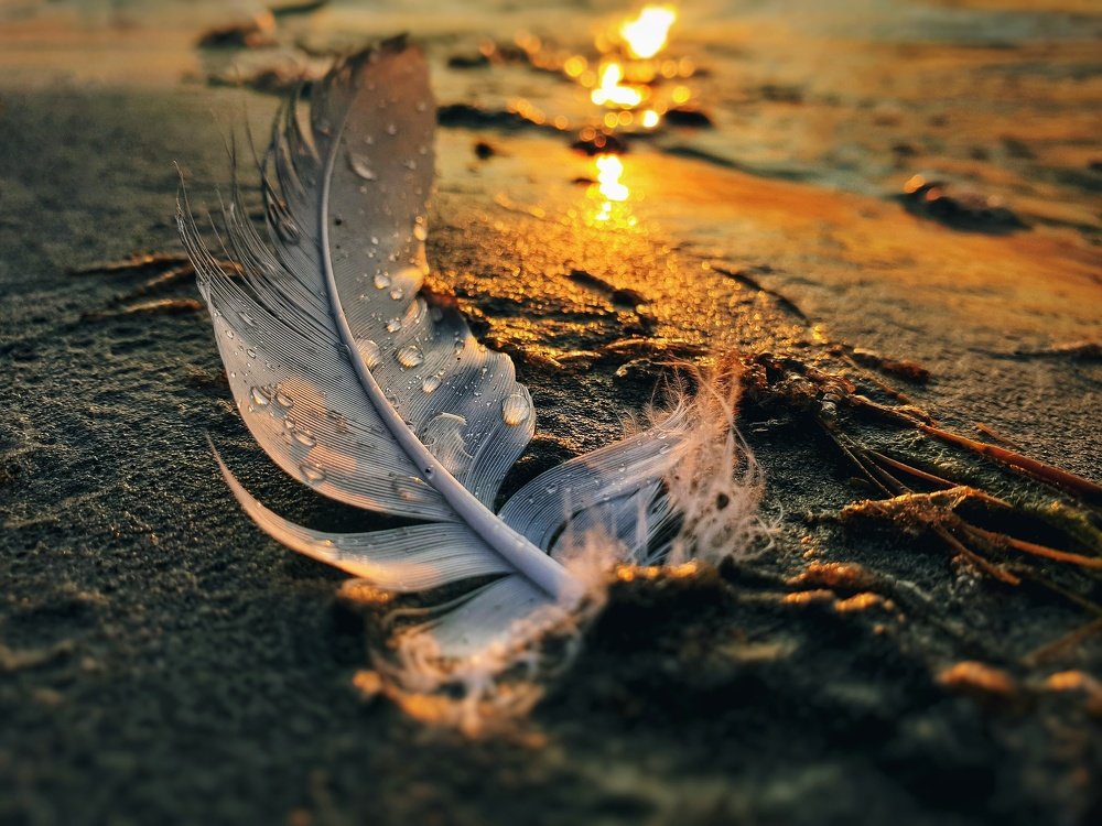 Photograph by Екатерина Хасенова