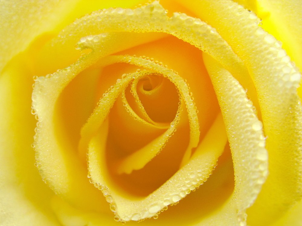 Photograph by Алька Вереск