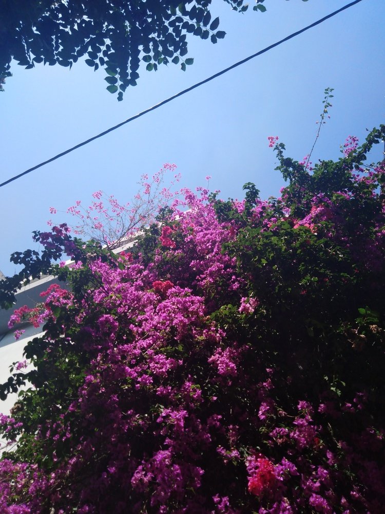 Photo #3648977