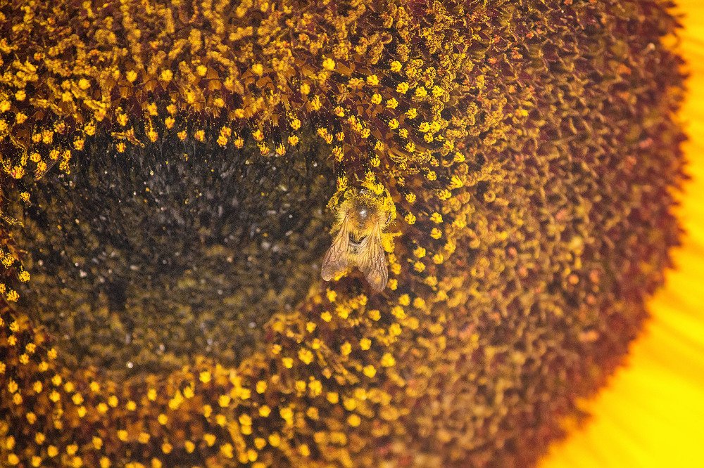 Фотография автора Ольга Комкова