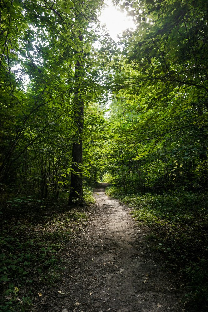 Photograph by Екатерина Качалина