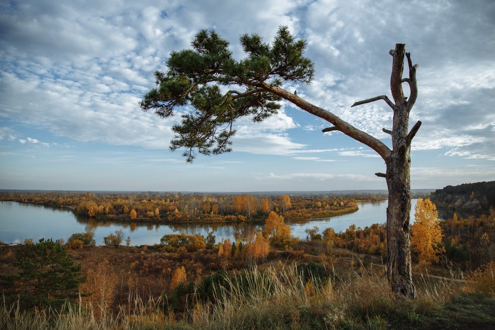 Фотография автора Екатерина