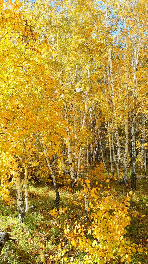 Photograph by Наталия Клишина
