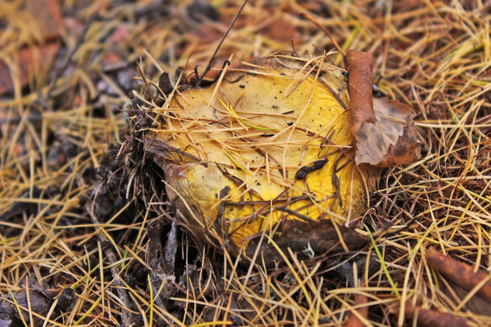 Photograph by Наталия Клишина