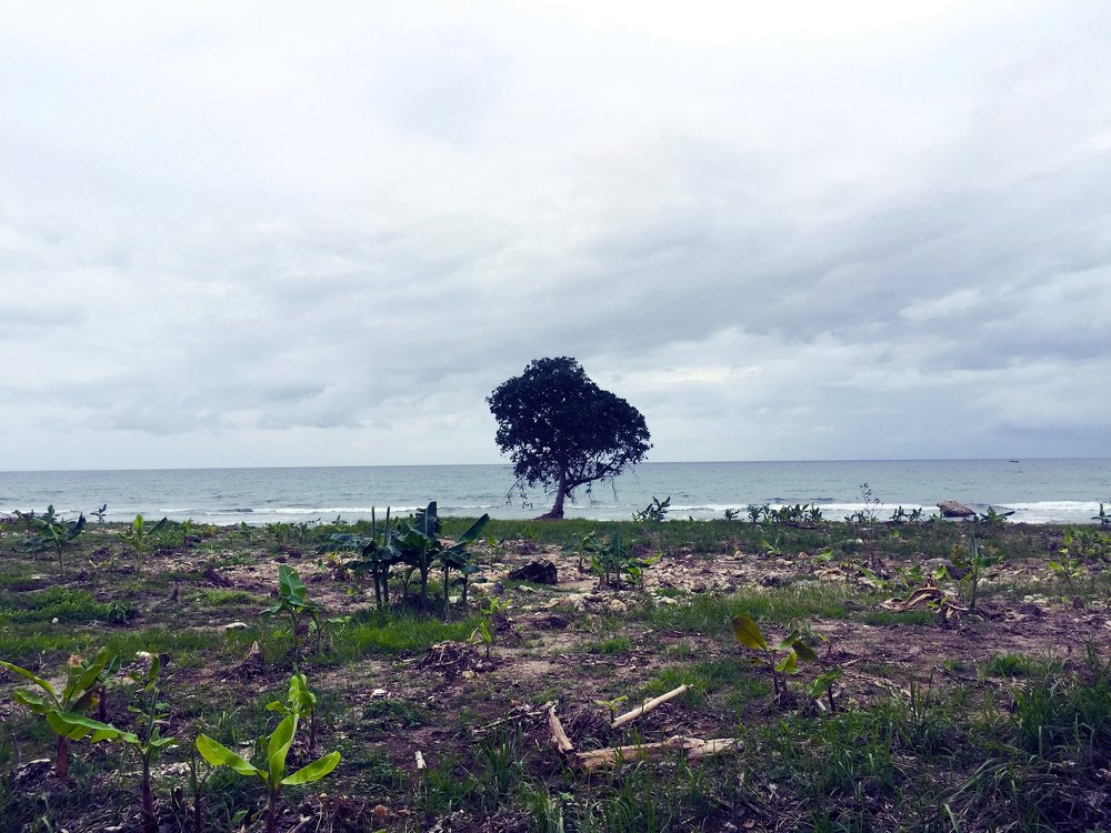 After A Tsunami