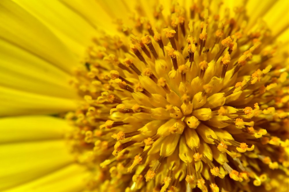 Photograph by Tushar Singh