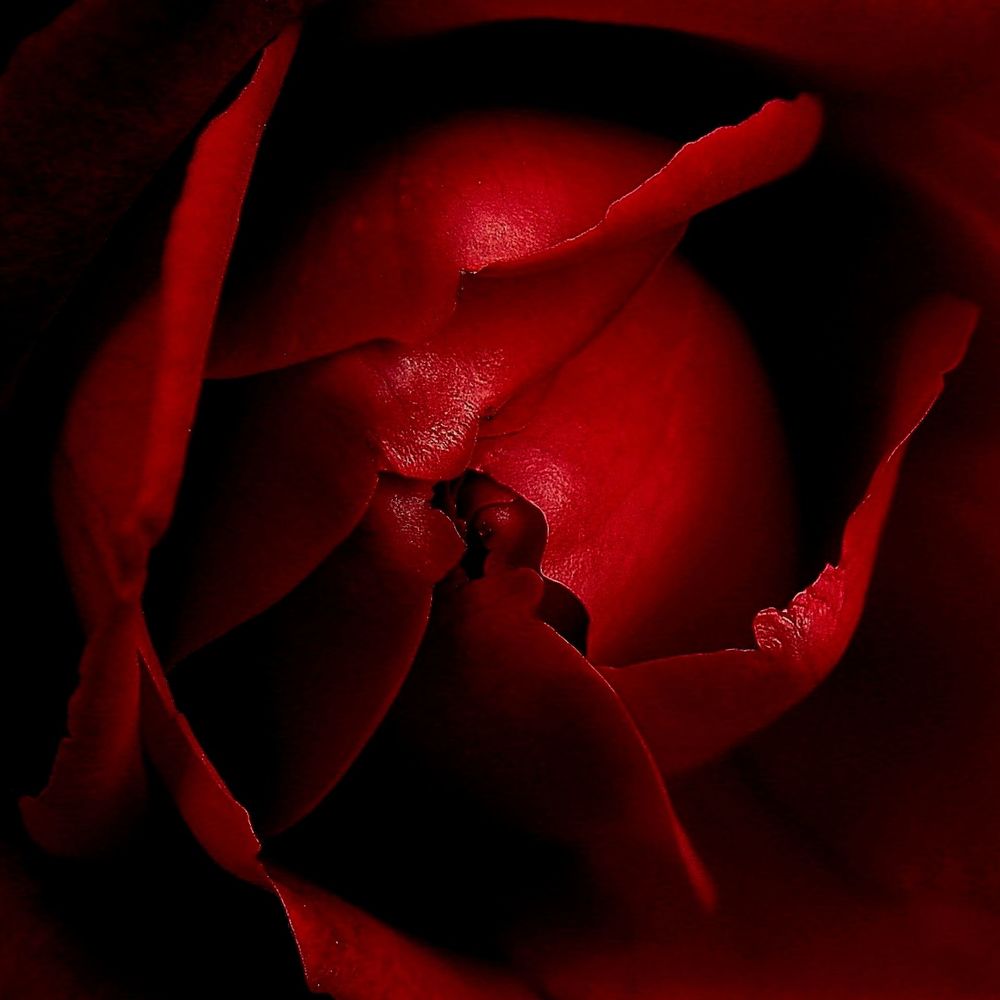 Photograph by Lev Prilutsky