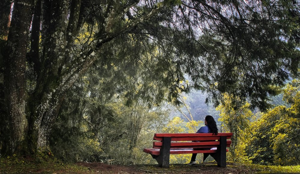 Фотография автора Anil Prabhakar