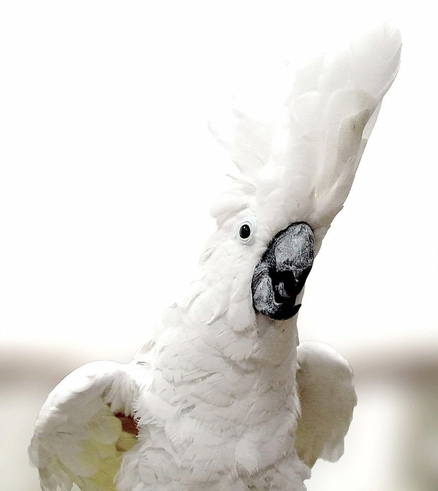 Photograph by Lev Prilutsky