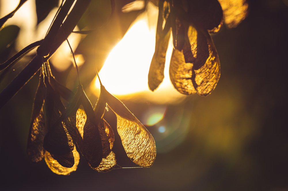 Photograph by Илья Борзенков