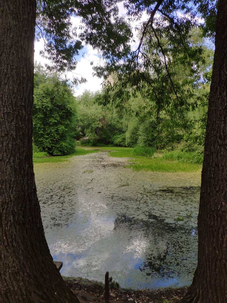 Let's enter the nature