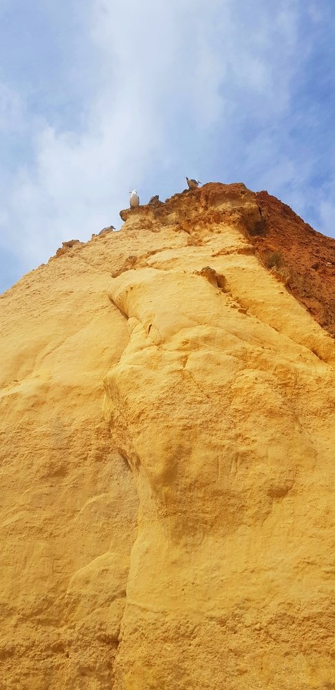 Photograph by Анна Сорокопуд