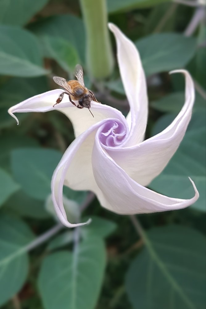 Выкручивайся, как хочешь, но накорми