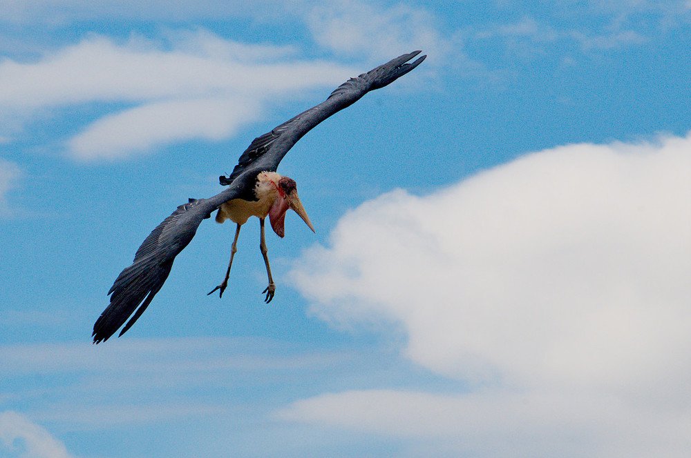 Photograph by Lev Prilutsky