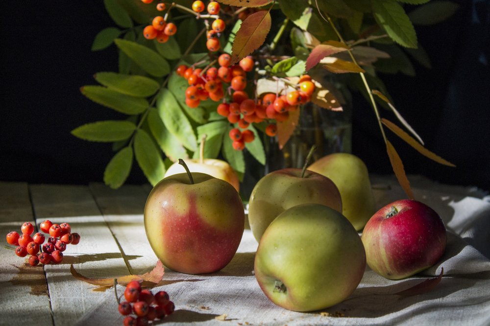 Photograph by Елена