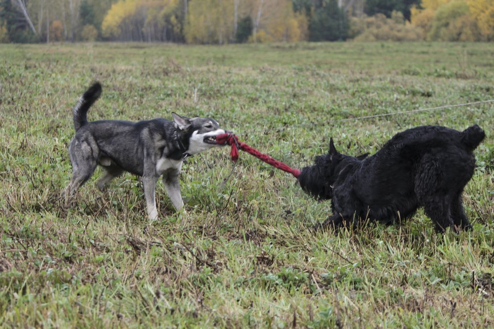 Photograph by Елена