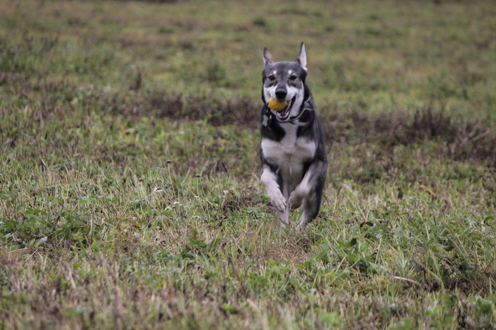 Photograph by Елена