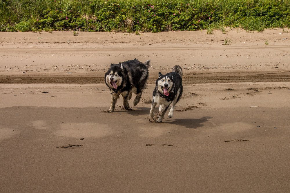 Фотография автора Маргарита Басова