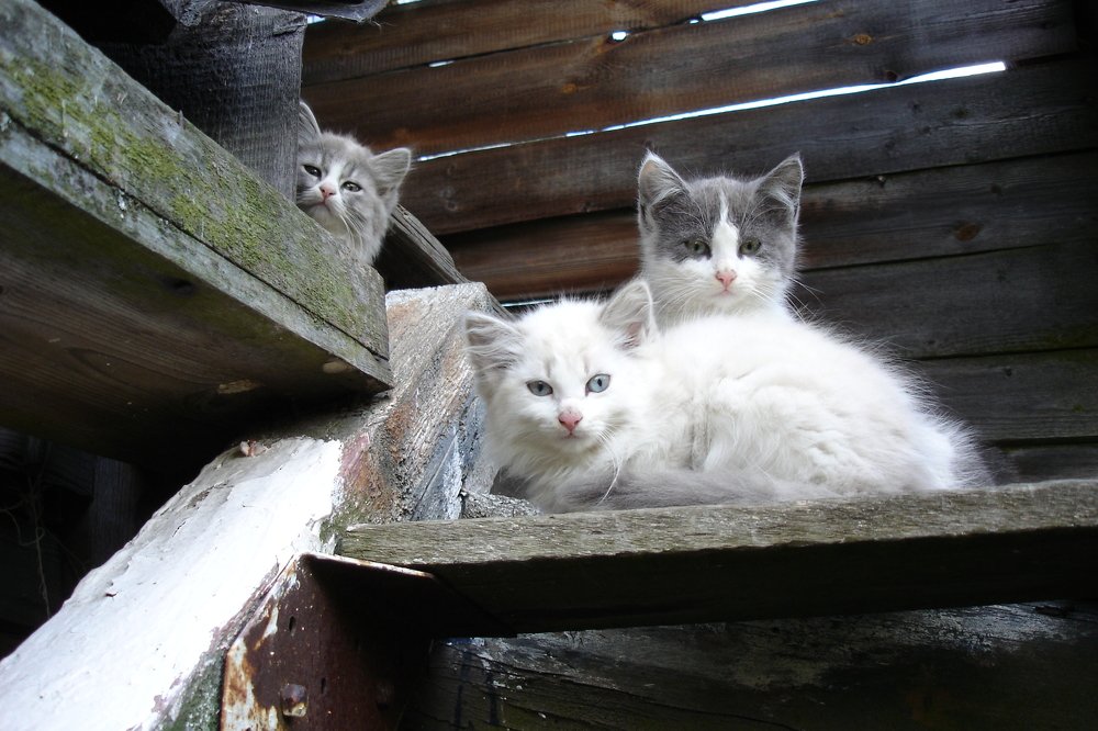 Photograph by Герман Локоцкий