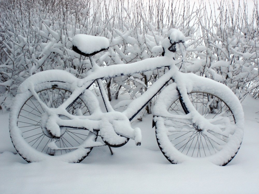 Photograph by Герман Локоцкий