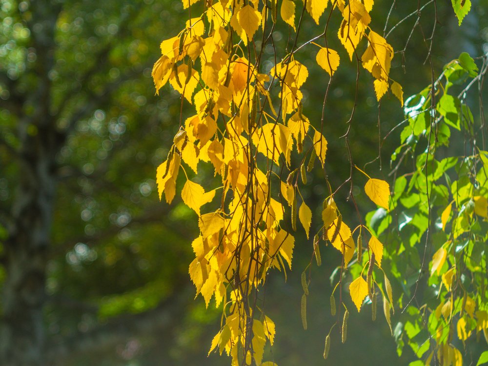 Photograph by Вячеслав Баширов