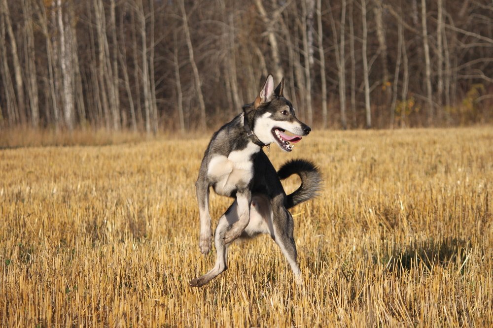 Photograph by Елена