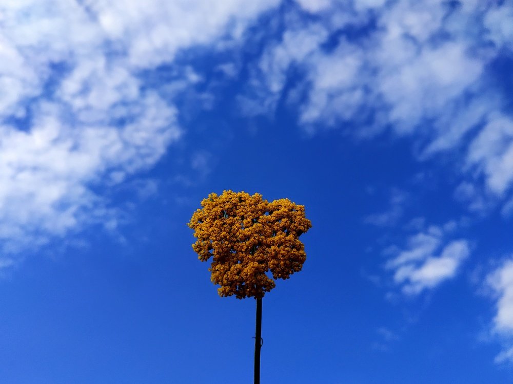 Photograph by Джемма Манукян