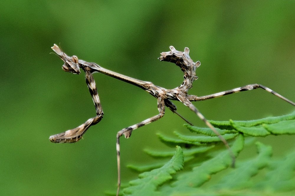 Photograph by seyyed mohammad andy