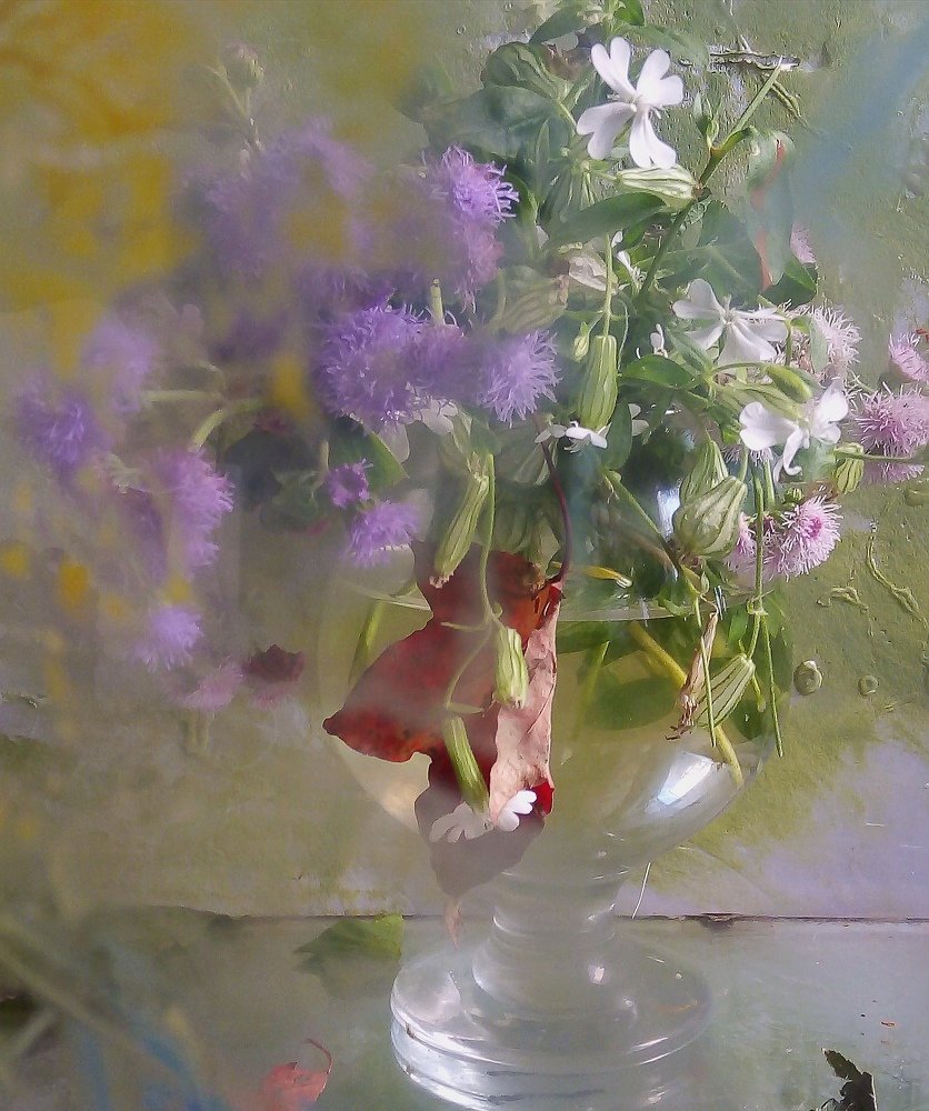 Photograph by Людмила Гончарова