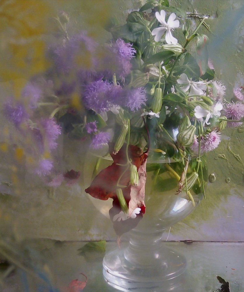 Photograph by Людмила Гончарова