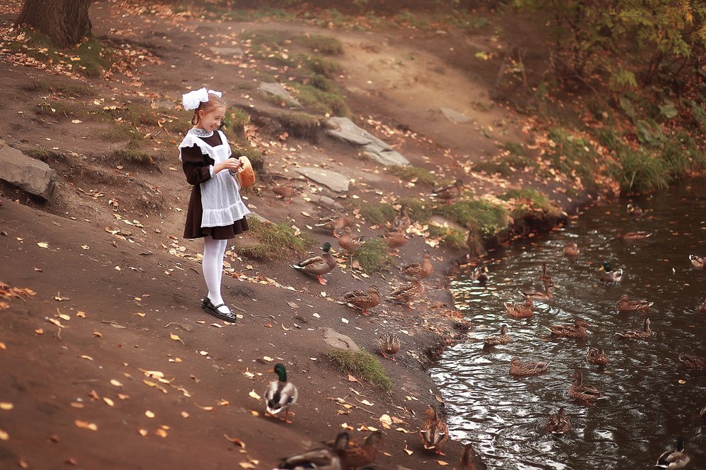 Фотография автора Ольга Котова