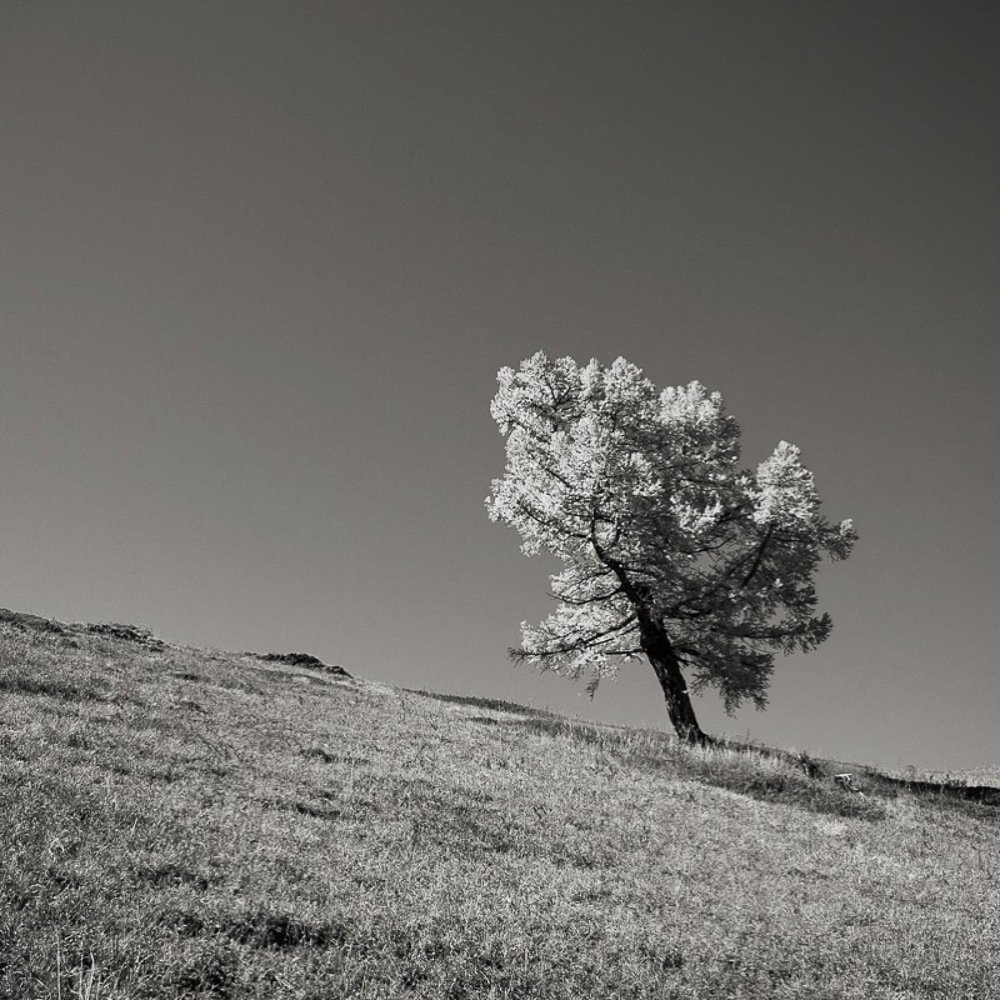 Photograph by Анна Кныш